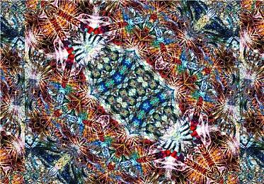 四月有望正式公布《宝可梦传说：阿尔宙斯》DLC